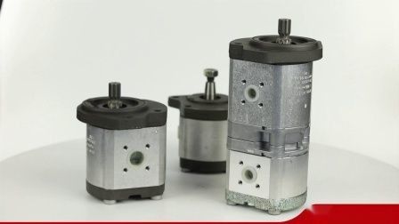 0510625071 Azpf-11-016rrr20kb-S0081 Hydraulic Gear Pump For Rexroth