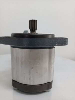 0510625071 Azpf-11-016rrr20kb-S0081 Hydraulic Gear Pump For Rexroth