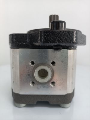 0510625071 Azpf-11-016rrr20kb-S0081 Hydraulic Gear Pump For Rexroth