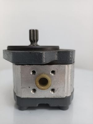 Cast Iron Hydraulic Gear Pump Hydraulic Pump Parts for Paver