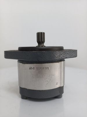 Cast Iron Hydraulic Gear Pump Hydraulic Pump Parts for Paver