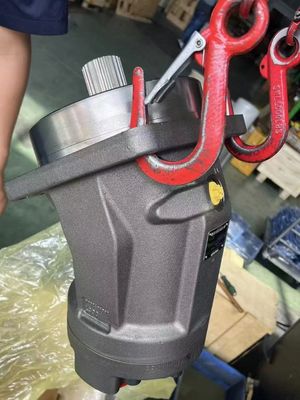 Original Rexroth Hydraulic Motor A2FM250 For Hoisting Machinery